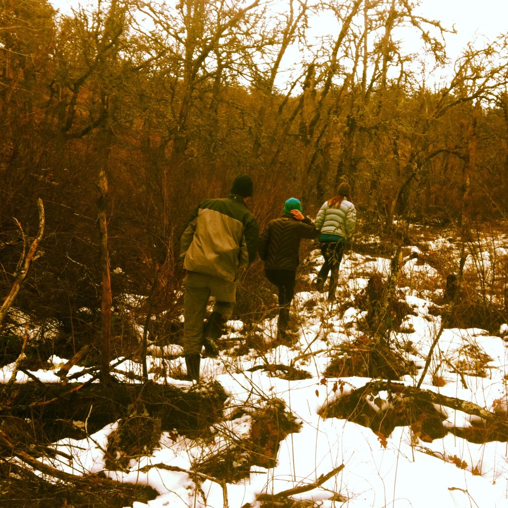 hiking in mosier