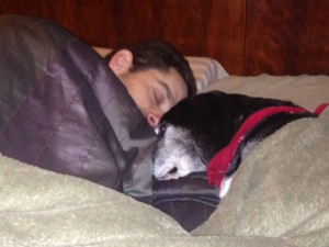 rob and abe our dog sleeping in bed