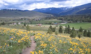 north hills behind our house in missoula - bri and rob on the horizon line