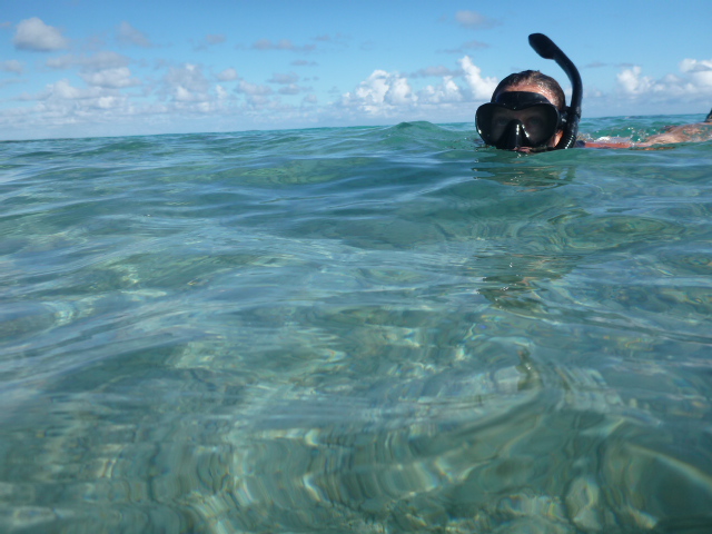 snorkeling in tuamotus, bri on the horizon line travel and sailing blog south pacific