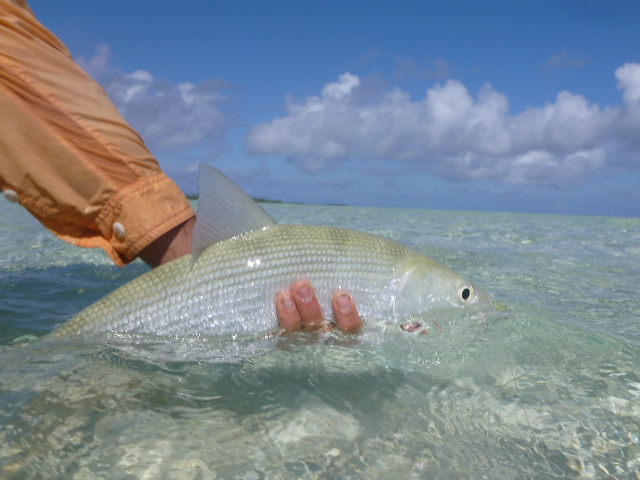 saltwater fly fishing polynesia travel blog rob roberts and brianna randall