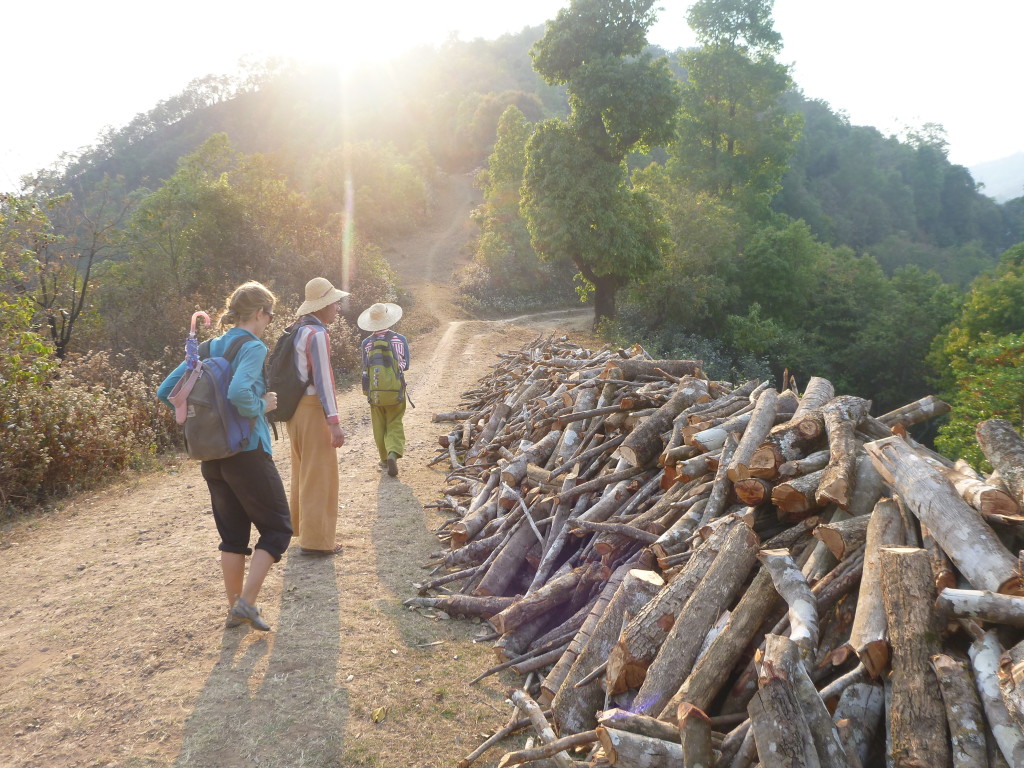 Firewood for drying tea - Trekking in Myanmar village - Brianna and Rob - On the Horizon Line Travel Blog