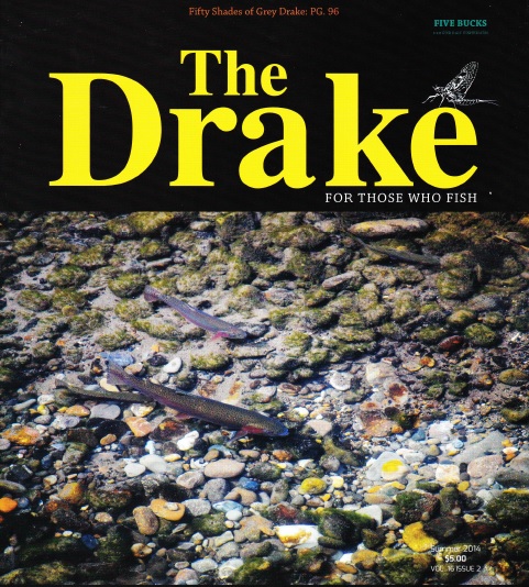 Drake cover photo